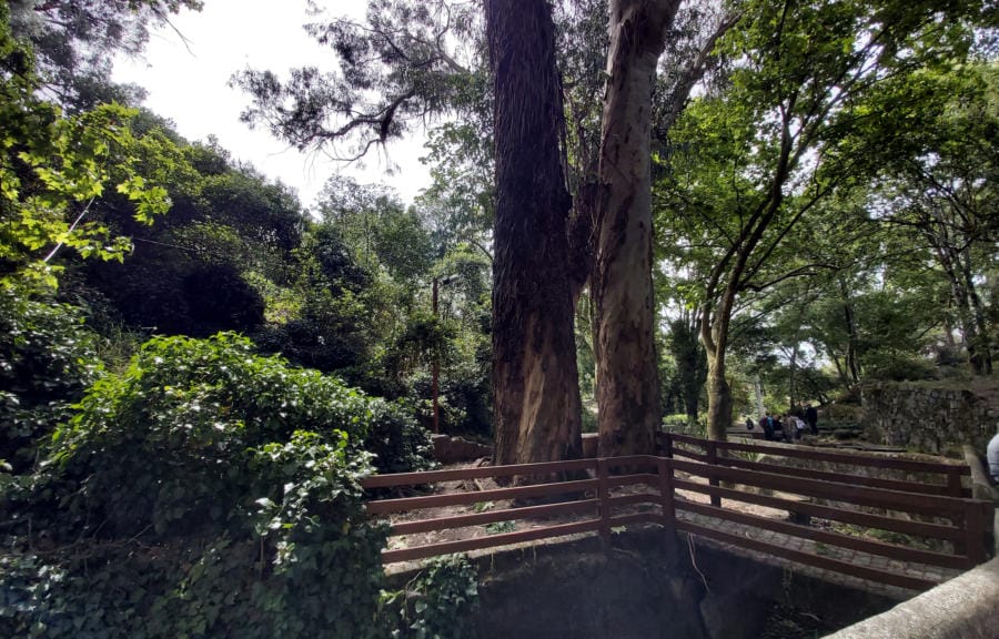 Tour image 1