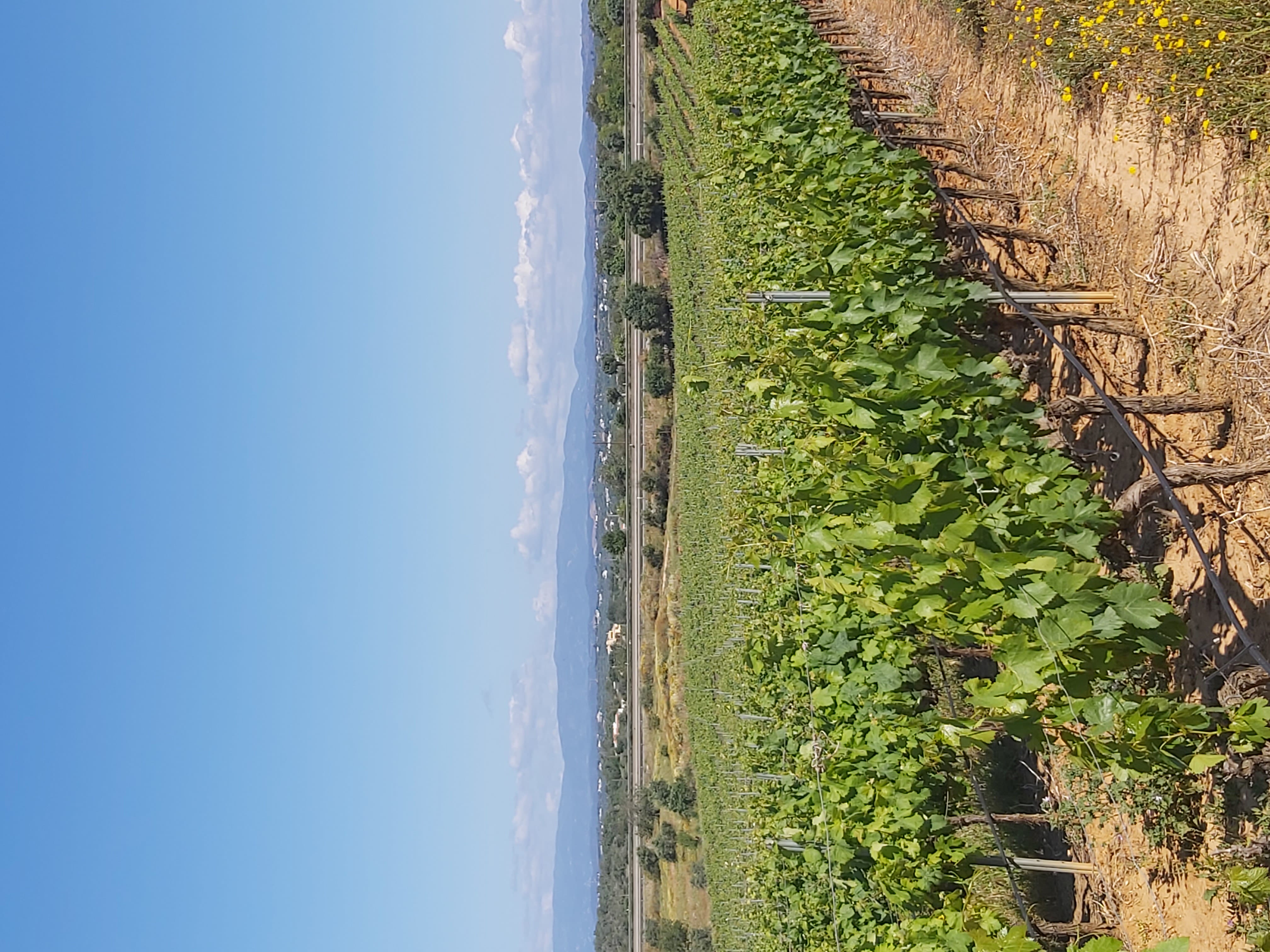 Tour image 10