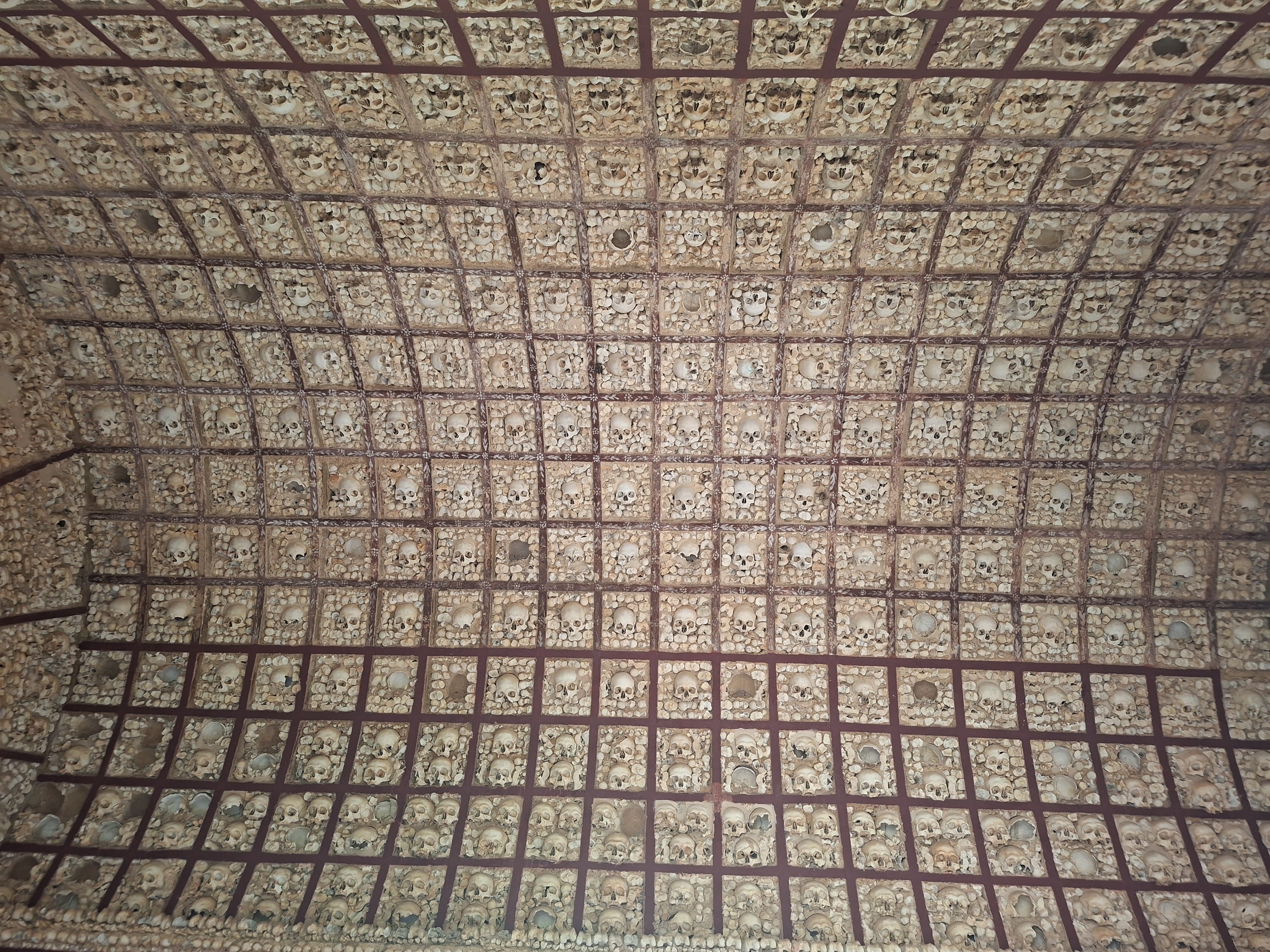 Tour image 26