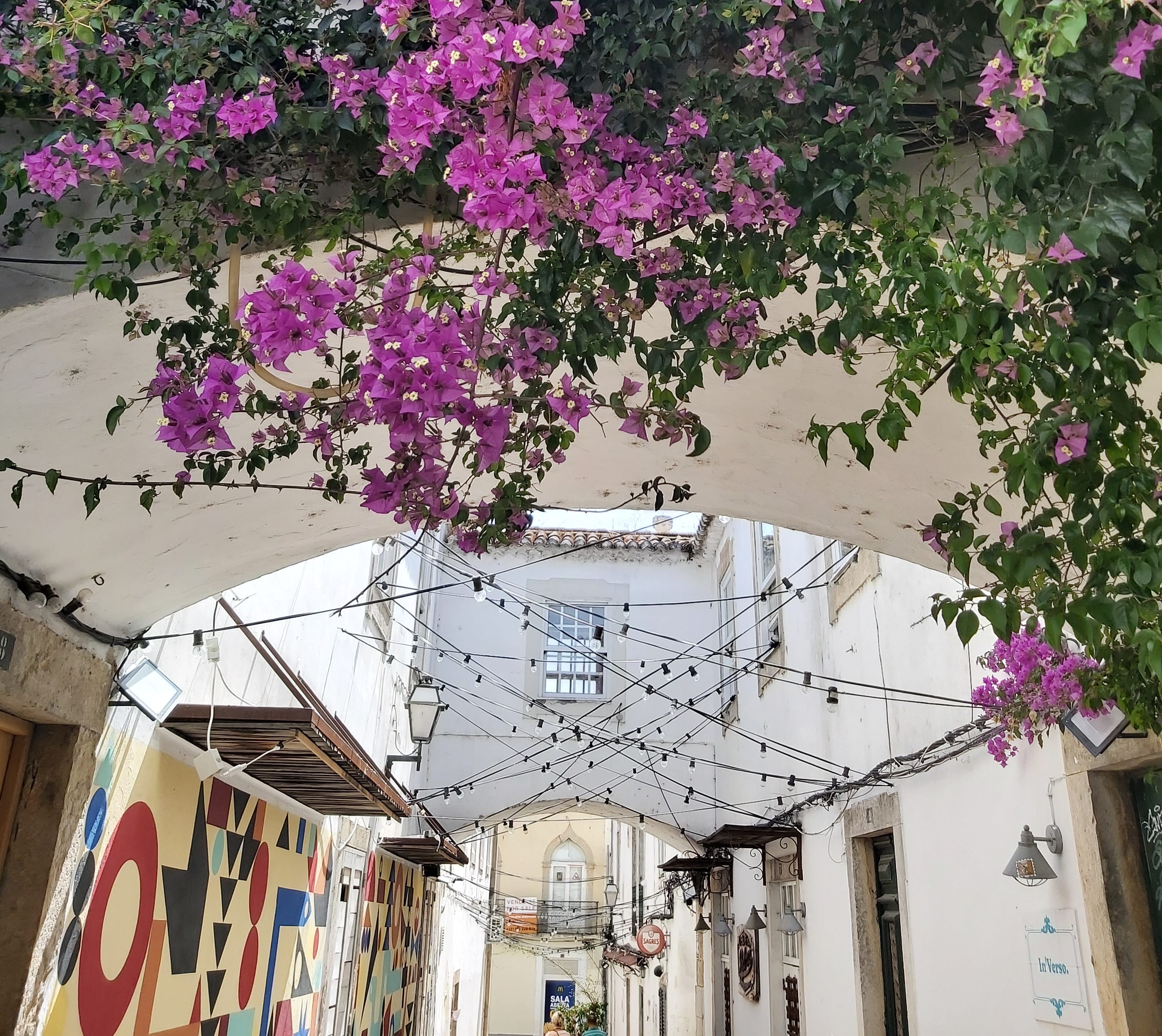 Tour image 5